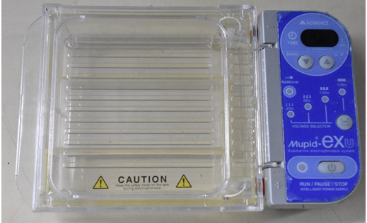 เครื่องแยกสารด้วยไฟฟ้า (Electrophoresis)