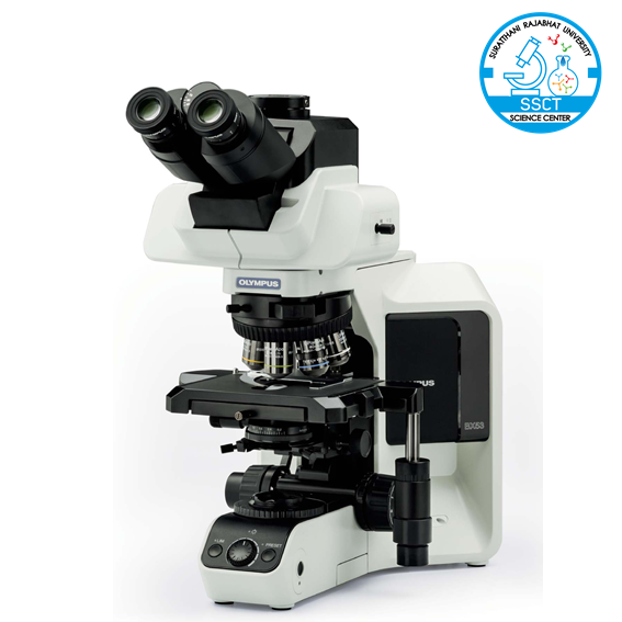 Fluorescence Microscope